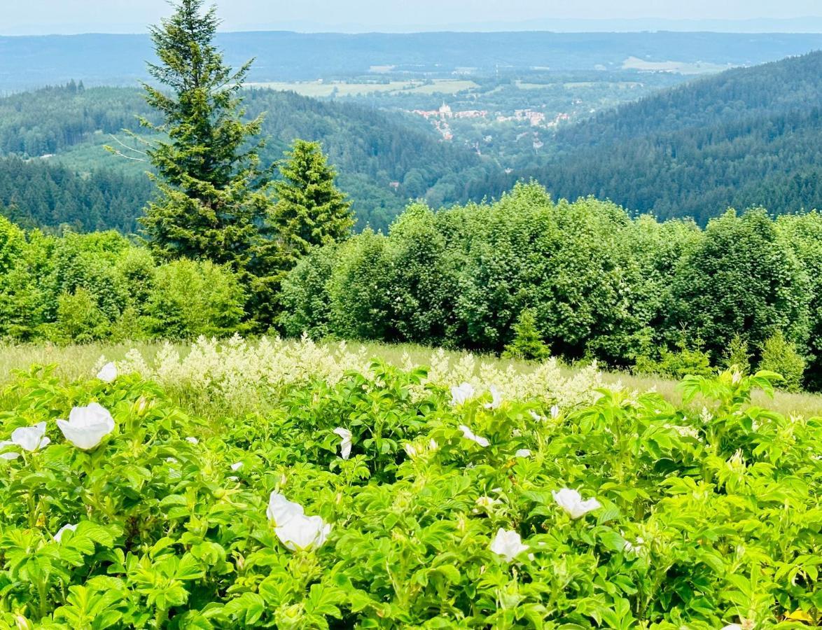 Apartamenty InnWersja Duszniki Zdroj Bagian luar foto