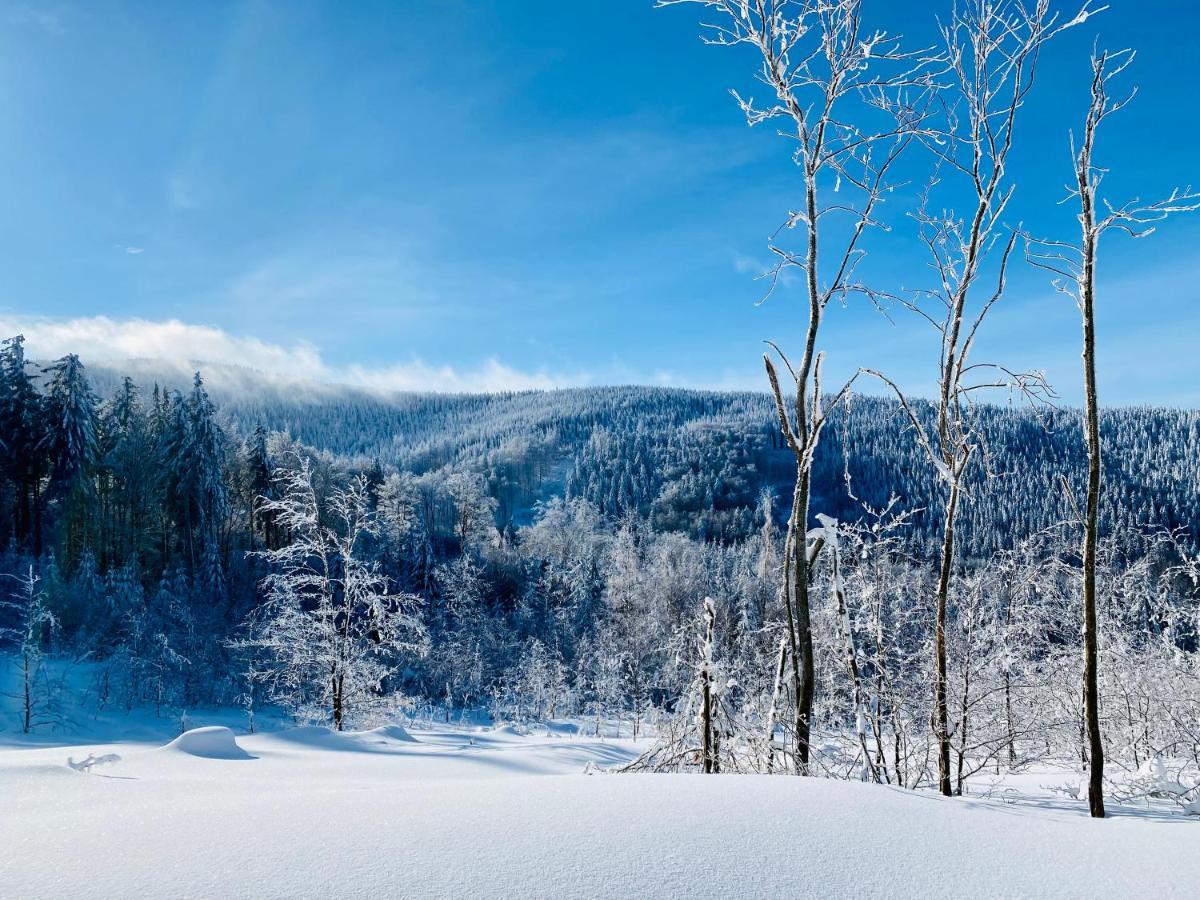 Apartamenty InnWersja Duszniki Zdroj Bagian luar foto